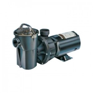 Pentair swimming pool pumps
