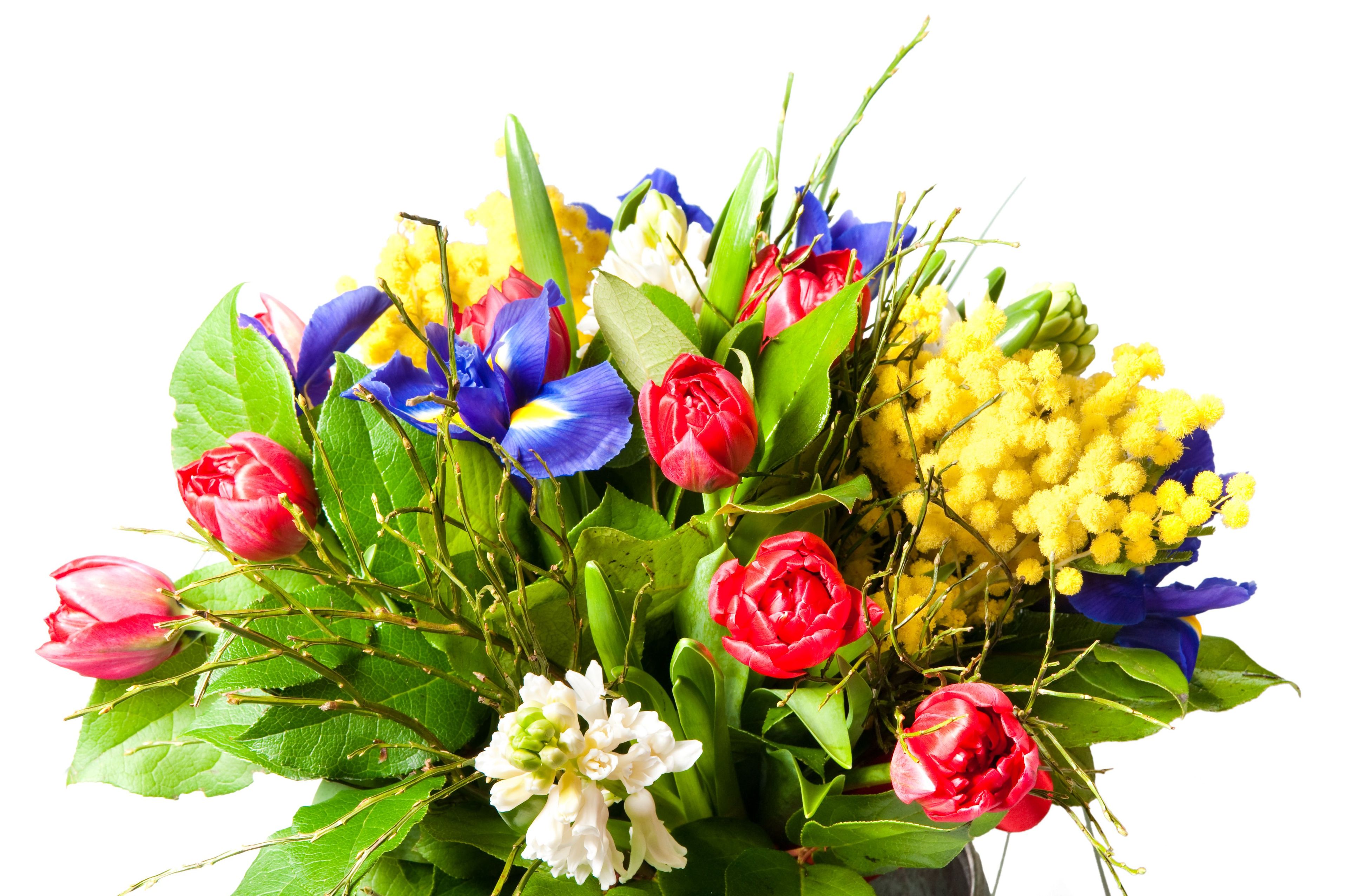 Choosing Sympathy Flowers in Palo Alto Doesn’t Have to Be Difficult