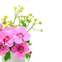 Funeral Flowers: Arrangements and Delivery